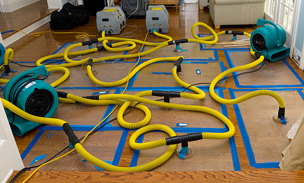 Professional Structural Drying And Dehumidification technician working in Winthrop Harbor, IL